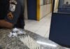 Itaperuna – Drogas escondidas em lata são apreendidas pela polícia