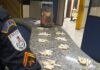 Itaperuna – Polícia desenterra 102 pinos de cocaína