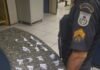 Itaperuna – Polícia apreende cocaína durante buscas