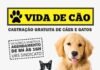 Projeto Vida de Cão está de volta em Natividade