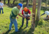 Sindicato Rural de Porciúncula finaliza curso de operação e manutenção de motosserra e roçadeira