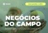 Curso online gratuito conecta jovens ao primeiro emprego