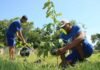 Cedae vai inaugurar em Itaperuna viveiro de mudas, no Presídio Diomedes Vinhosa Muniz