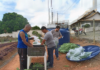 Programa ‘Mãos à Horta’ ajuda na alimentação de muitas famílias em Itaperuna