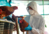 Estado do RJ tem novo caso confirmado de H5N1 em ave silvestre; seis foram confirmados no total