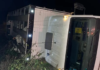 Caminhão carregado com gado tomba na BR-116, em Muriaé