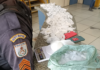 PM apreende drogas e material entorpecente após homem escapar de perseguição em Itaperuna