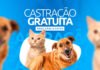 Projeto ELLOS CASTRA PET oferece castração gratuita de cães e gatos em Italva