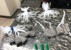 PM desenterra drogas em Aperibé