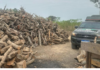 Polícia Ambiental flagra carvoaria em São Francisco do Itabapoana