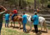 ‘Programa Equoterapia Pedra Preta’ em Itaperuna