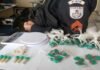Polícia encontra cocaína, crack e maconha próximo de creche em São Fidélis