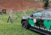 Polícia Ambiental flagra corte de árvores na zona rural em Italva