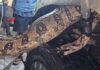 Motorista encontra uma Jiboia de 3 metros presa no motor do seu carro