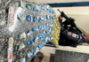 PM apreende drogas após fuga de suposto traficante em Pádua